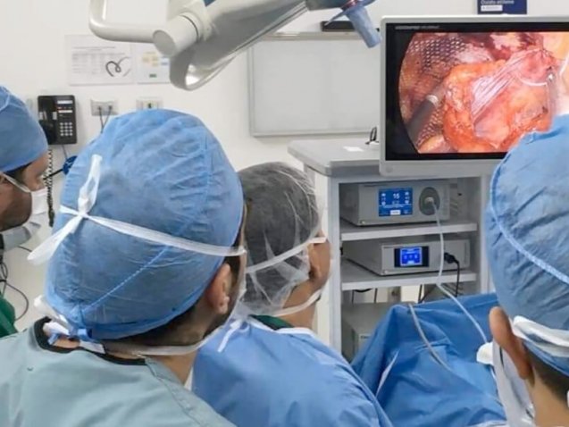 blog-fellowship-hernia-2019-dr-alban